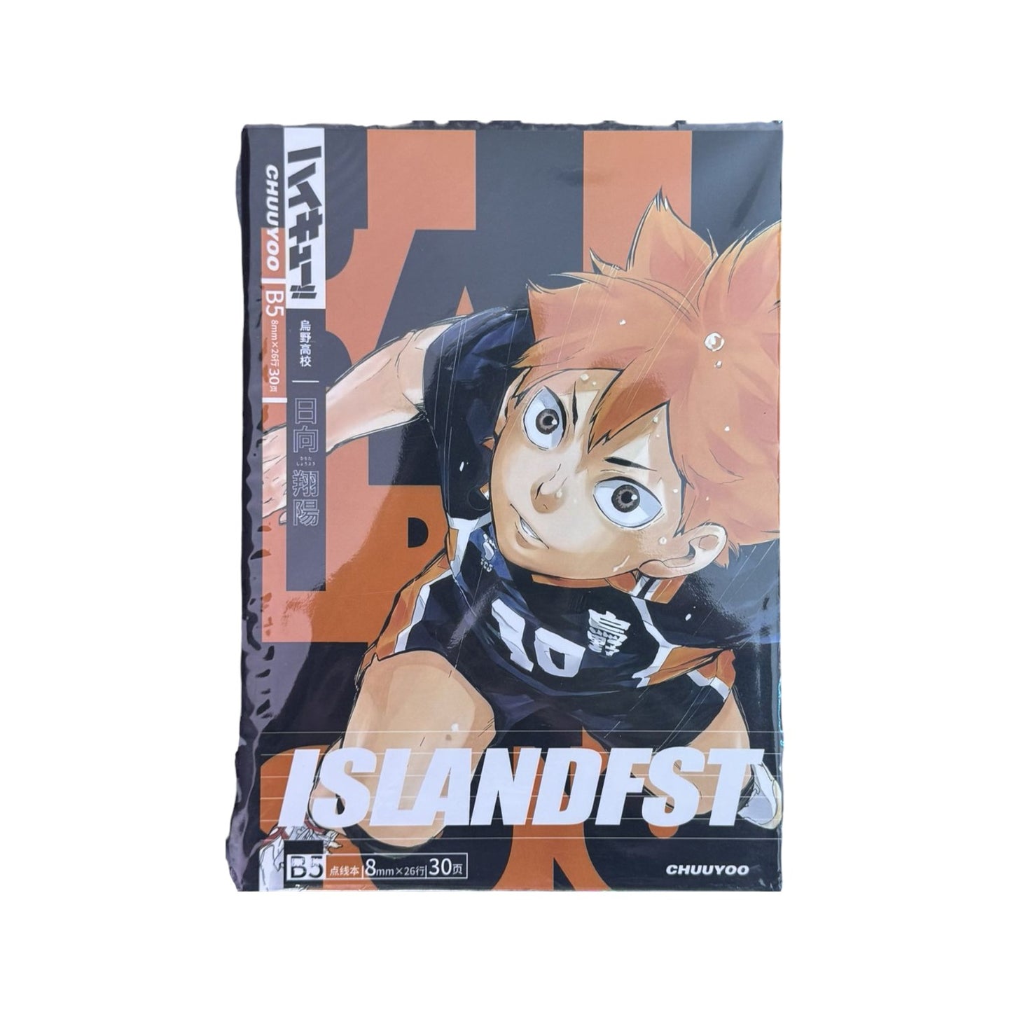HAILYUU!! B5 Dot-Line Notebook – Anime Character Cover
