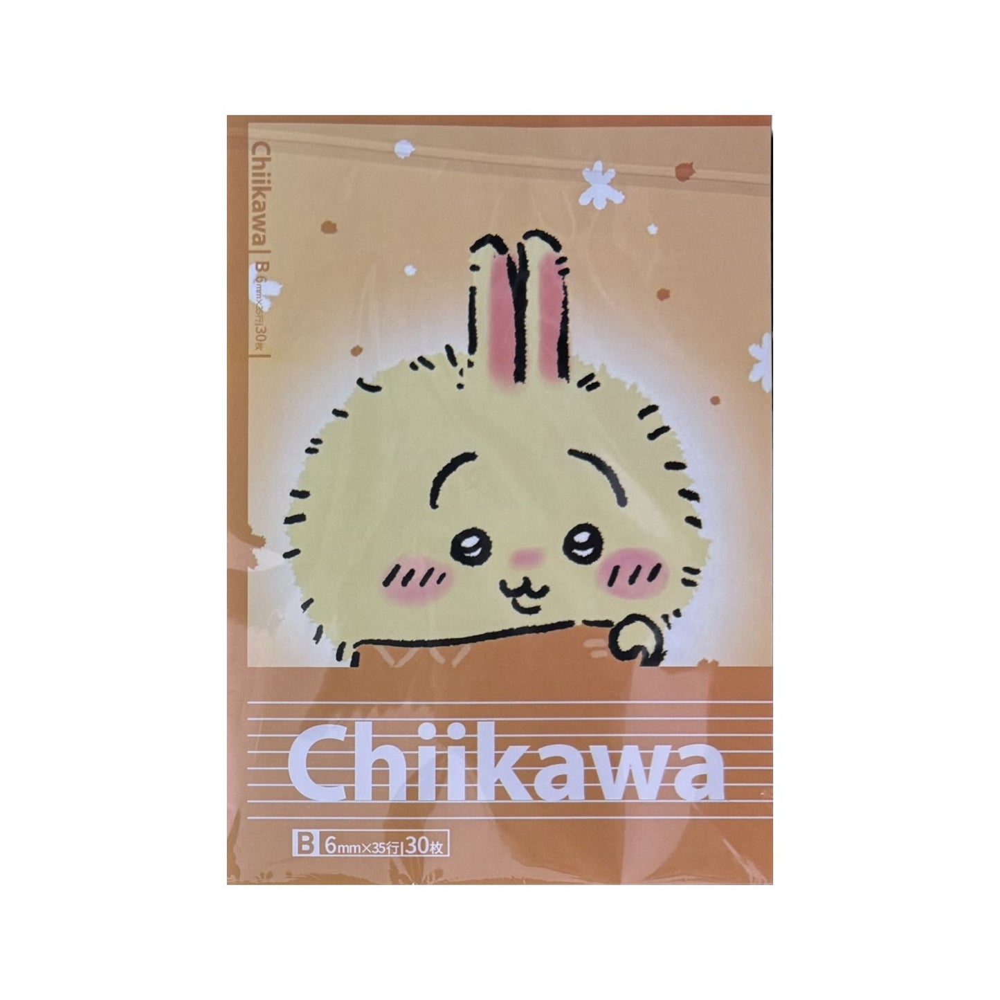 CHIIKAWA B5 Dot-Line Notebook –