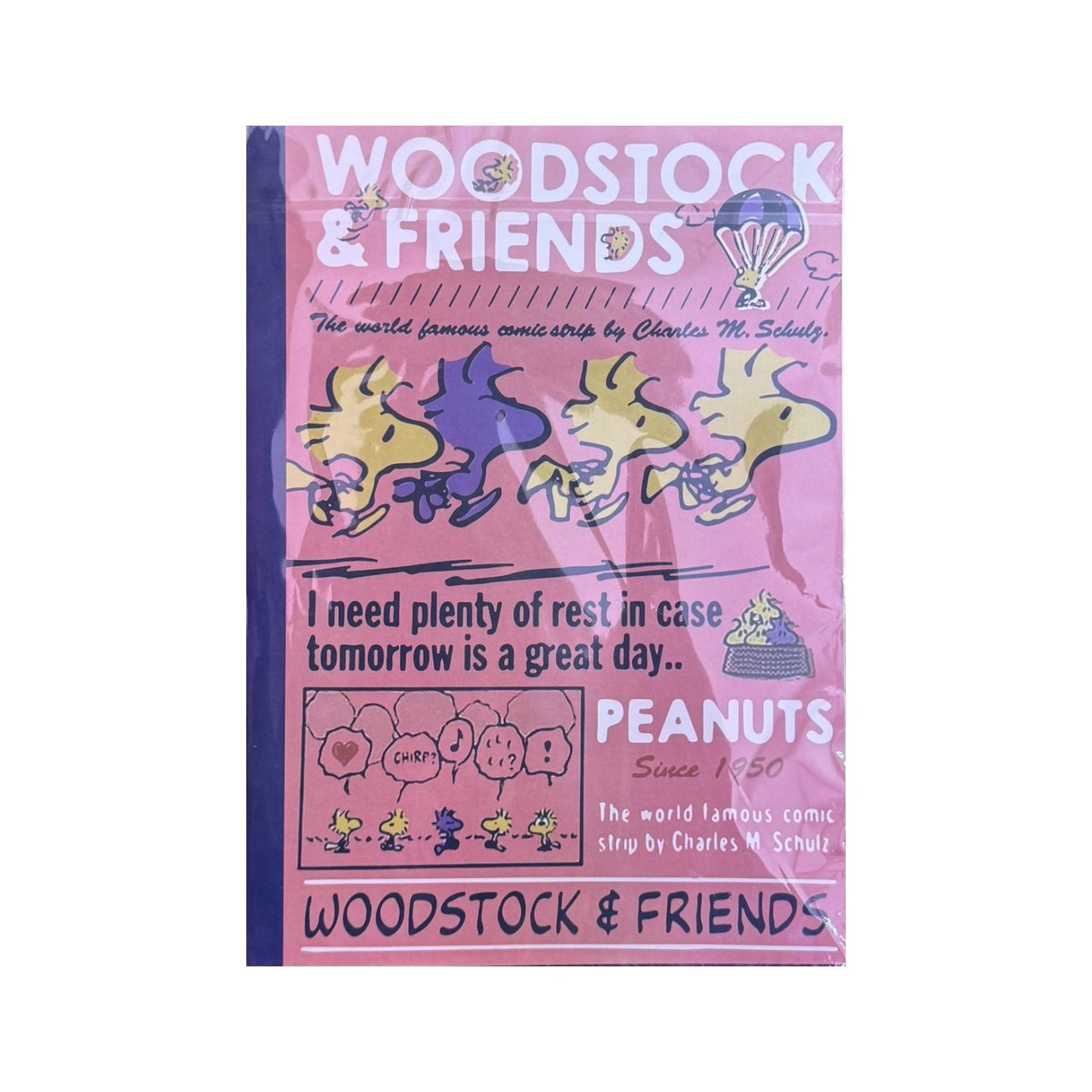 SNOOPY B5 Dot-Line Notebook